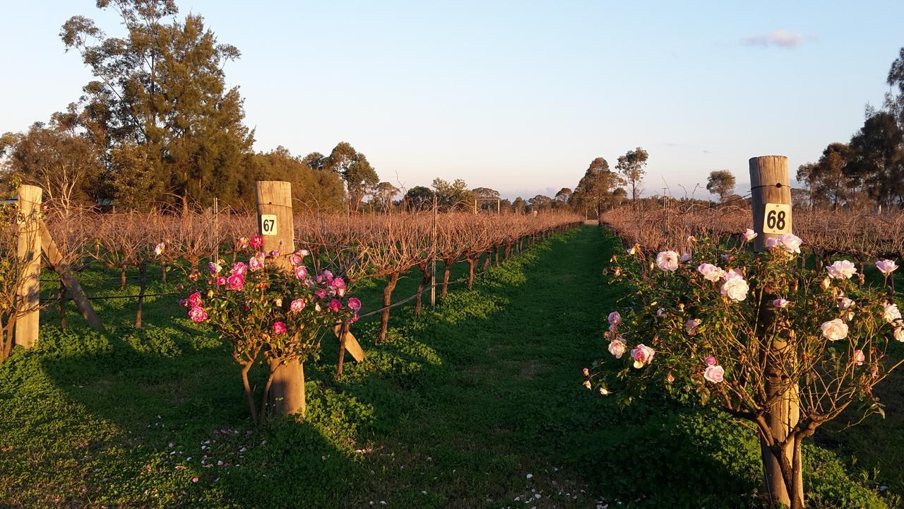 Emma'S Cottage Vineyard 러브데일 외부 사진