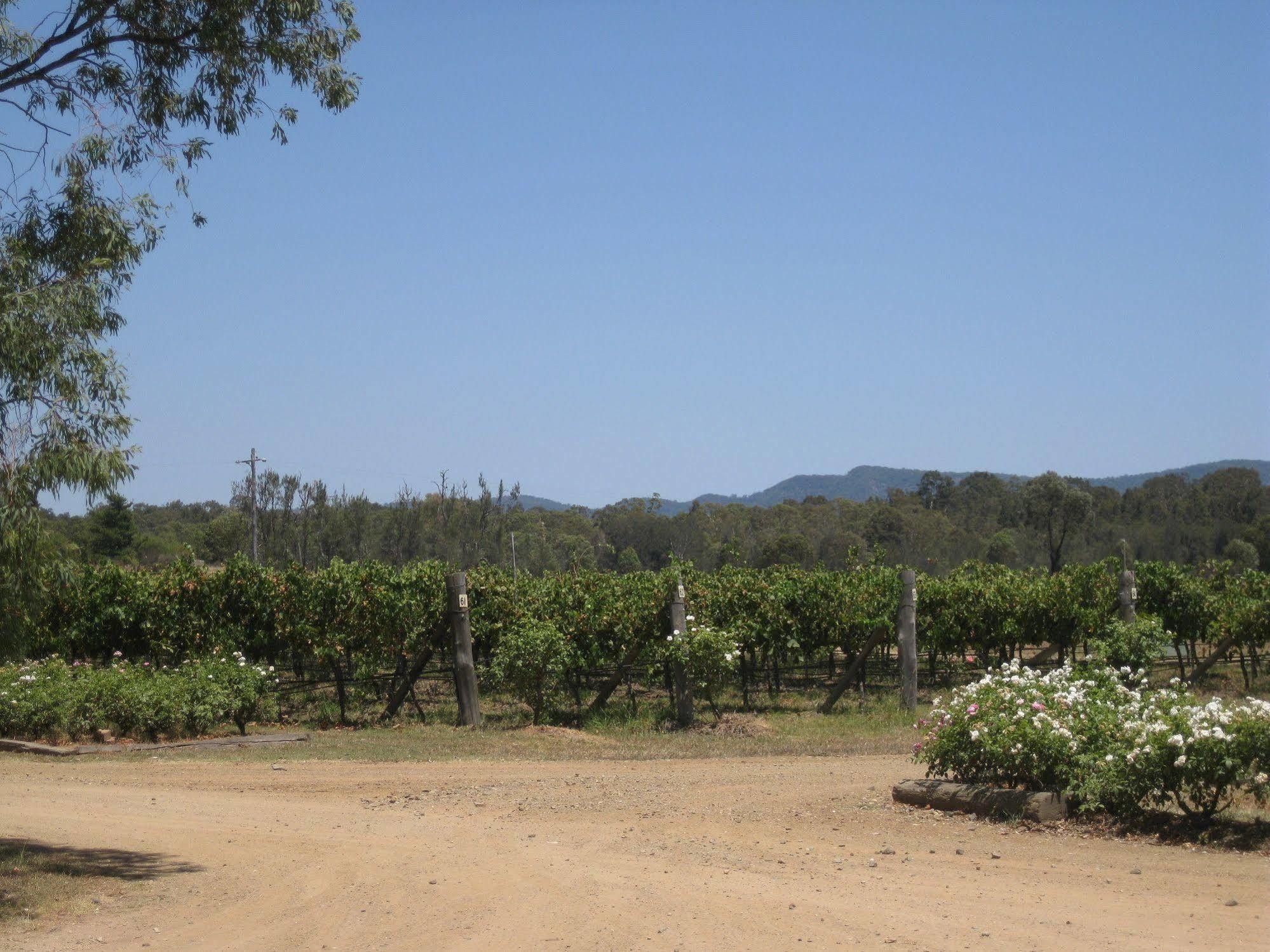 Emma'S Cottage Vineyard 러브데일 외부 사진